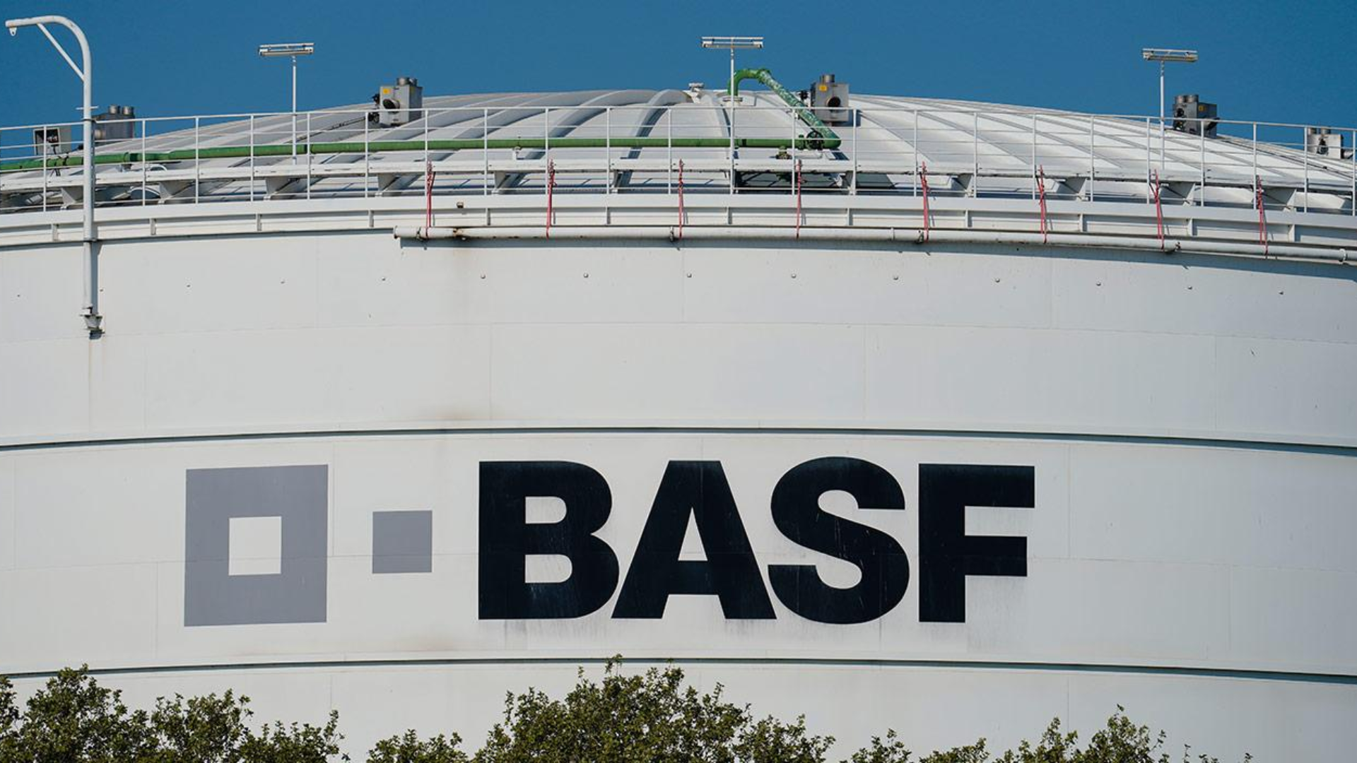 BASF se asocia con Acies Bio para impulsar la producción sostenible de ...